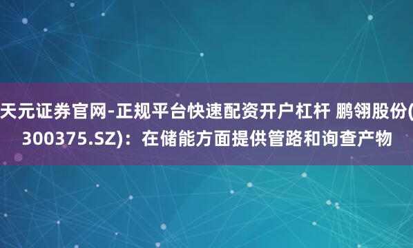 天元证券官网-正规平台快速配资开户杠杆 鹏翎股份(300375.SZ)：在储能方面提供管路和询查产物