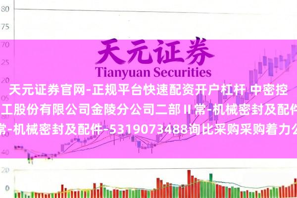 天元证券官网-正规平台快速配资开户杠杆 中密控股中标：中国石油化工股份有限公司金陵分公司二部Ⅱ常-机械密封及配件-5319073488询比采购采购着力公告