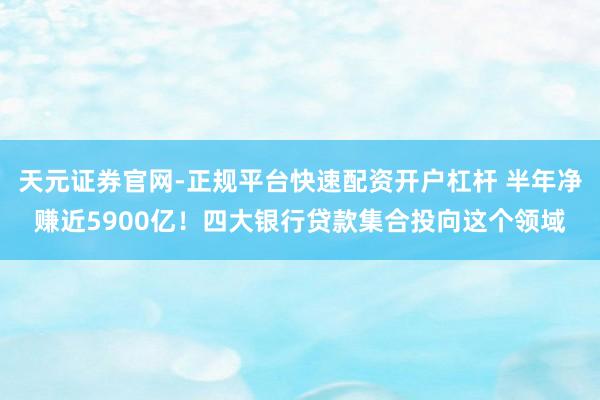 天元证券官网-正规平台快速配资开户杠杆 半年净赚近5900亿！四大银行贷款集合投向这个领域