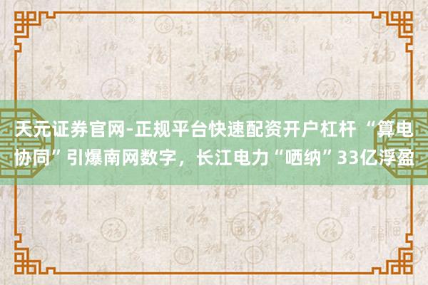 天元证券官网-正规平台快速配资开户杠杆 “算电协同”引爆南网数字，长江电力“哂纳”33亿浮盈