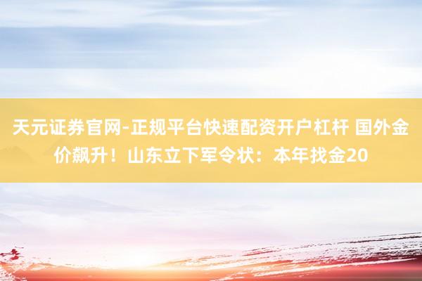 天元证券官网-正规平台快速配资开户杠杆 国外金价飙升！山东立下军令状：本年找金20