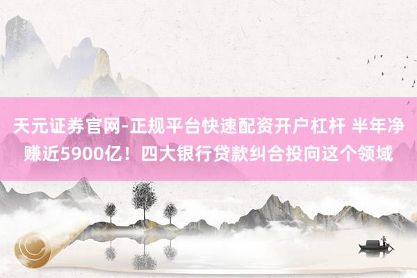 天元证券官网-正规平台快速配资开户杠杆 半年净赚近5900亿！四大银行贷款纠合投向这个领域