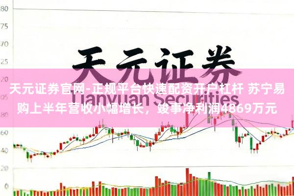 天元证券官网-正规平台快速配资开户杠杆 苏宁易购上半年营收小幅增长，竣事净利润4869万元