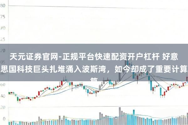 天元证券官网-正规平台快速配资开户杠杆 好意思国科技巨头扎堆涌入波斯湾，如今却成了重要计算