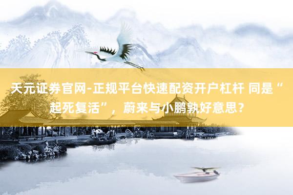 天元证券官网-正规平台快速配资开户杠杆 同是“起死复活”，蔚来与小鹏孰好意思？