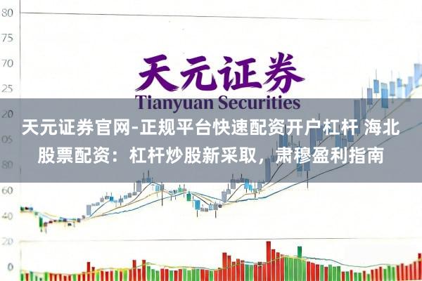 天元证券官网-正规平台快速配资开户杠杆 海北股票配资：杠杆炒股新采取，肃穆盈利指南